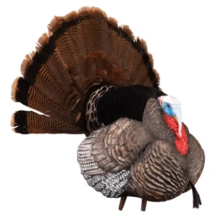 Higdon Outdoors Apex Strutter Hard Body Turkey Decoy 12 Higdon Outdoors Apex Strutter Hard Body Turkey Decoy -Winchester Store 1052946 800 auto