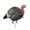 Higdon Outdoors Hard Body 1/4 Strut Jake Decoy 2 Higdon Outdoors Hard Body 1/4 Strut Jake Decoy -Winchester Store 1052962 800 auto