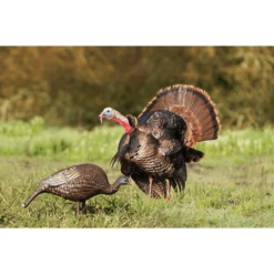 Higdon Outdoors Hard Body Feeder Hen Decoy