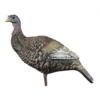 Higdon Outdoors Hard Body Upright Hen Decoy 2 Higdon Outdoors Hard Body Upright Hen Decoy -Winchester Store 1053048 800 auto