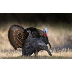 Higdon Outdoors Hard Body Upright Hen Decoy -Winchester Store 1053049 800 auto