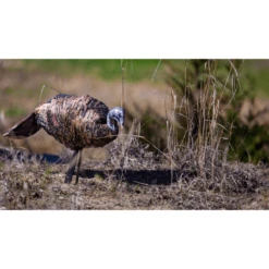 Montana Decoy Miss Purrfect Xd Turkey Hen Decoy -Winchester Store 1295929 800 auto