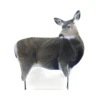 Montana Decoy Miss Muley -Winchester Store 1296099 800 auto