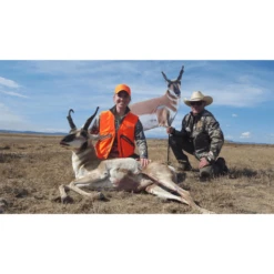 Montana Decoy Eichler Antelope W/ Quick Stand -Winchester Store 1296105 800 auto