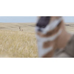 Montana Decoy Eichler Antelope W/ Quick Stand