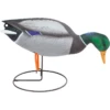 Final Approach Field Mallard Decoy (6 Pack) -Winchester Store 1296293 800 auto