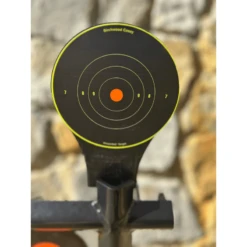 Birchwood Casey World Of Targets The Transistor Target -Winchester Store 1379074 800 auto