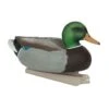 Avery Essentials Series Mallard 2 Avery Essentials Series Mallard -Winchester Store 331773 800 auto