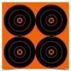 Birchwood Casey Big Burst 6" Bull's-Eye Target (25 Pack)