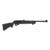 Ruger 10/22 Air Rifle -Winchester Store 795682 800 auto