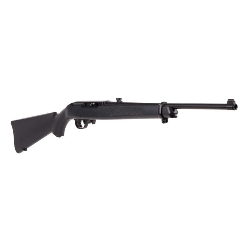 Ruger 10/22 Air Rifle 3 Ruger 10/22 Air Rifle