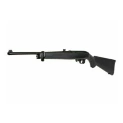 Ruger 10/22 Air Rifle 5 Ruger 10/22 Air Rifle -Winchester Store 795683 800 auto